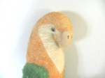parrot old_02